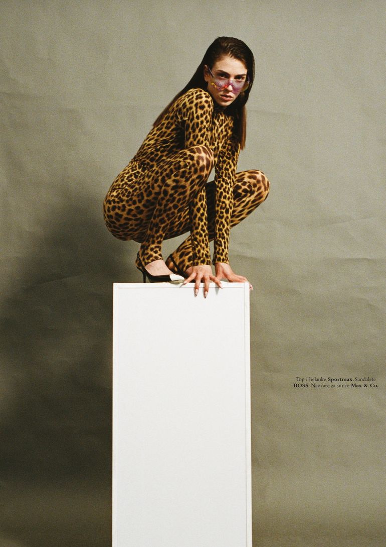 Dan Danicic book photo