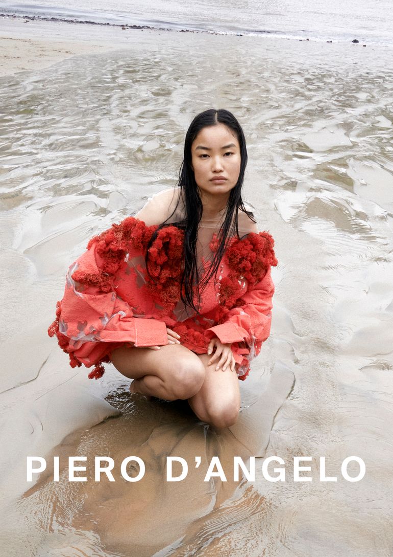 Diana Li book photo