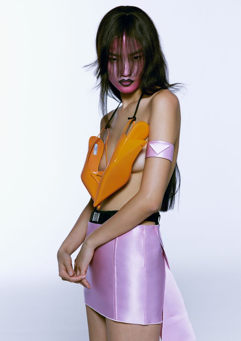Diana Li book photo