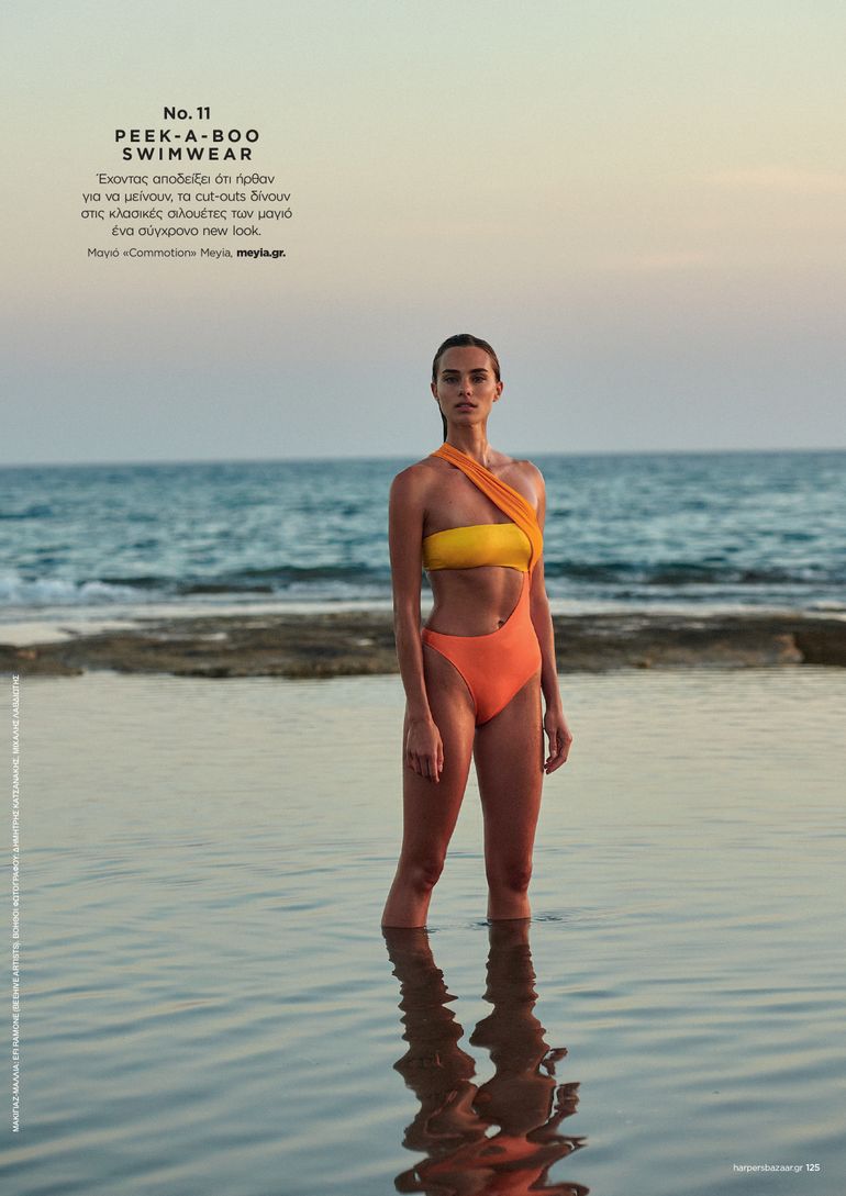 Nicol Apollonio book photo