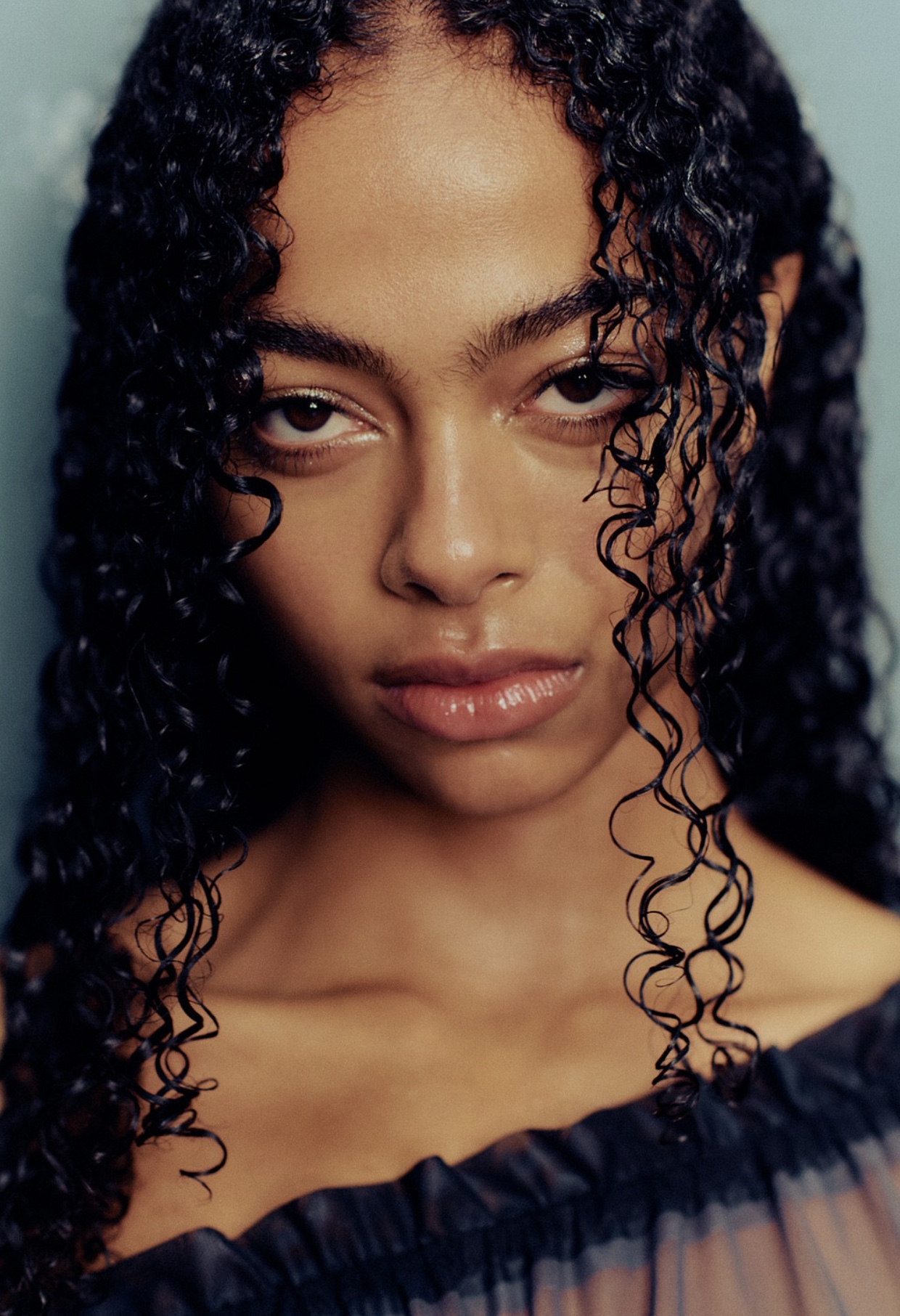 Ermiolita profile