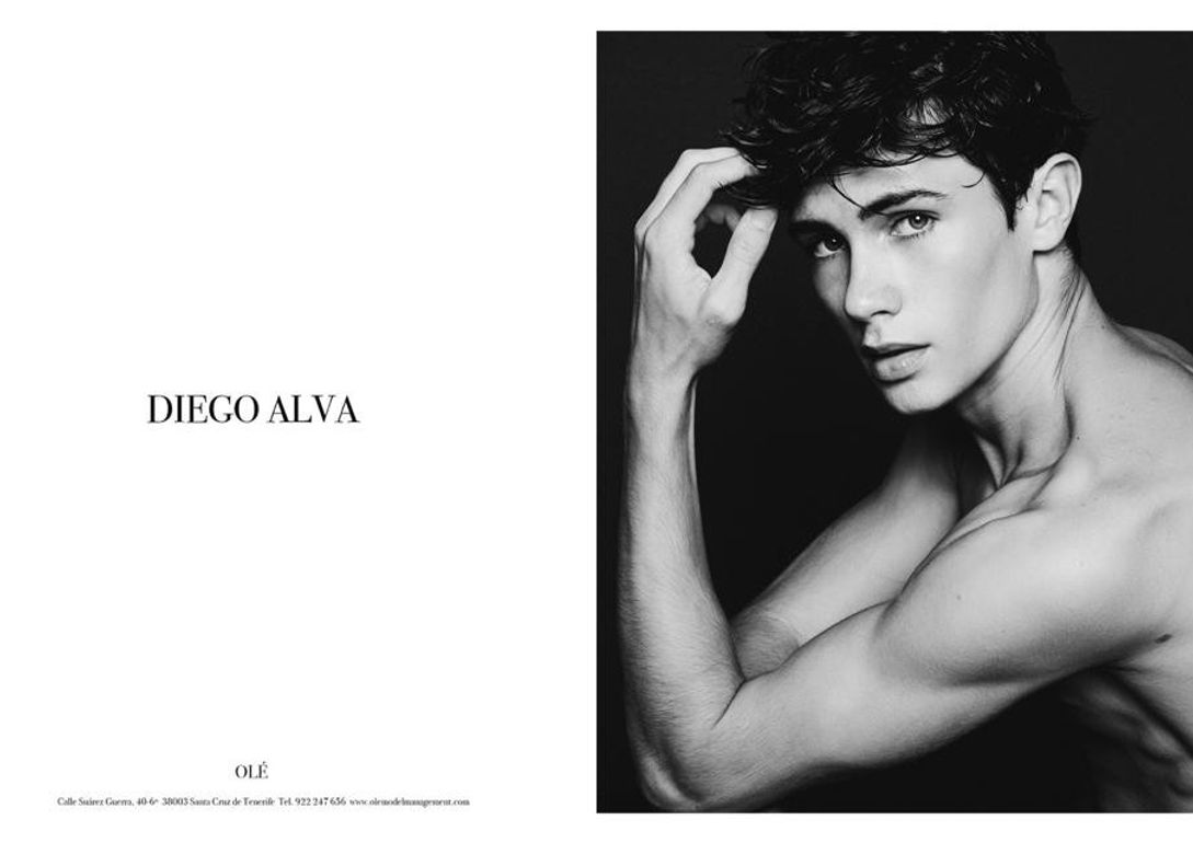 Diego Alvarez book photo