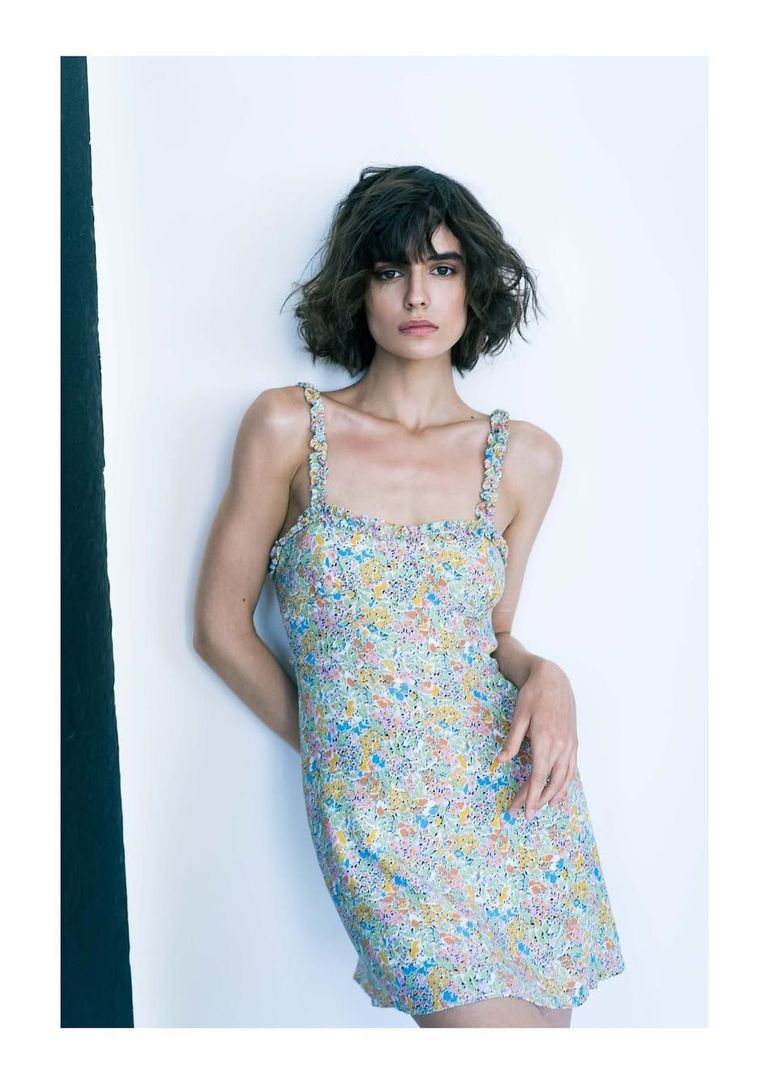 Dasha Plonas book photo