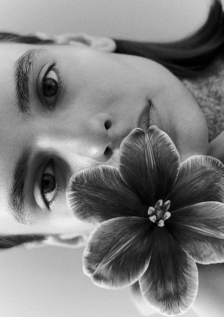 Dasha Plonas book photo