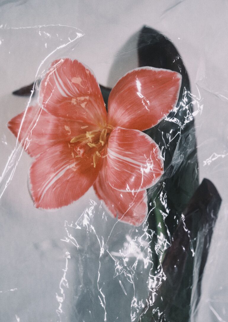 Tatti Khlapushina book photo