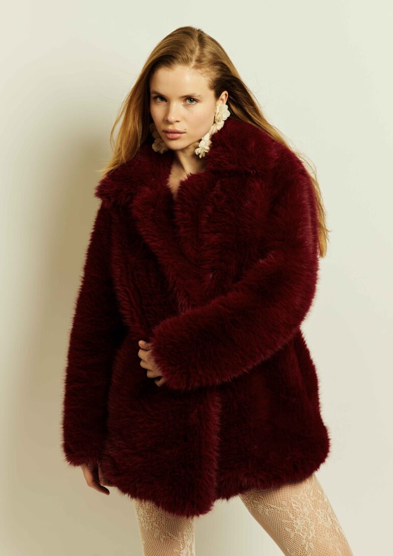 Donna Krijbolder book photo