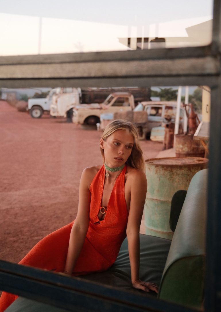 Daria Pershina book photo