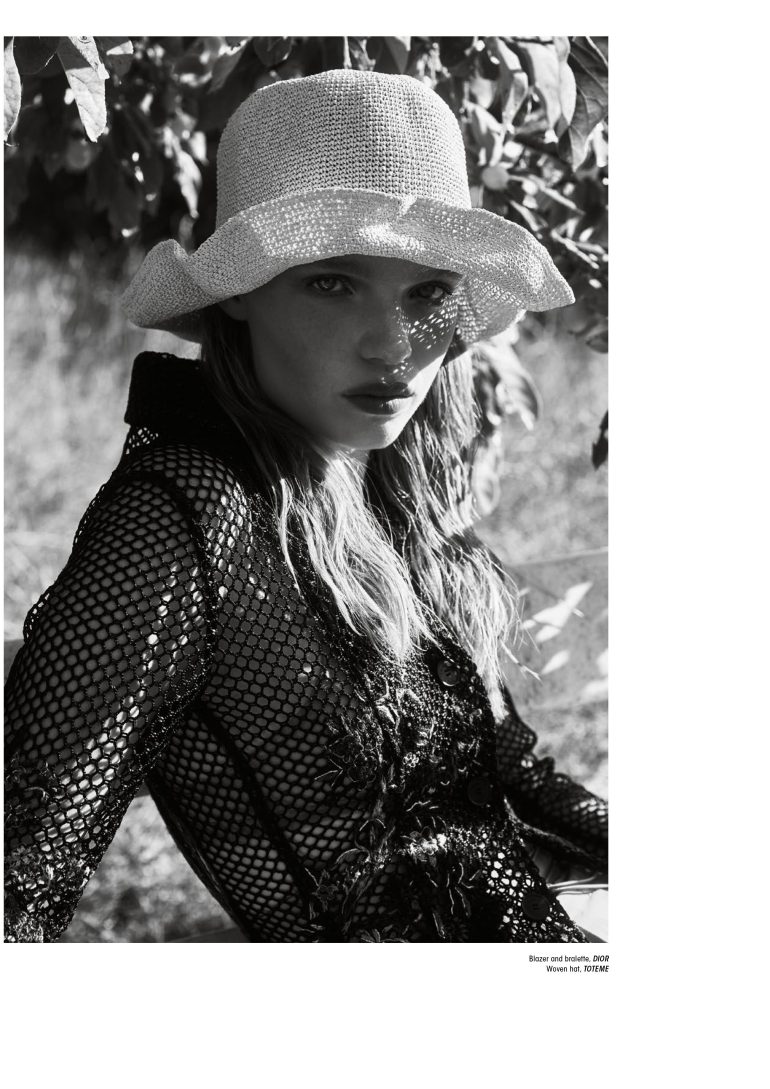 Molly Hamlyn book photo